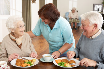 Senior couple being served meal by carer